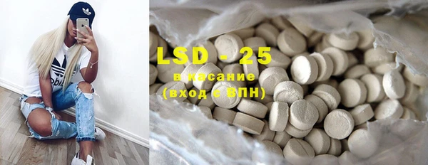 PSILOCYBIN Алзамай