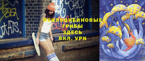PSILOCYBIN Алзамай