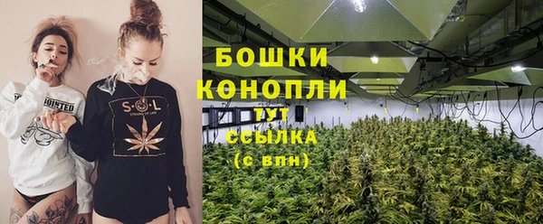 PSILOCYBIN Алзамай