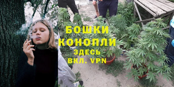 гидропоника Алексеевка