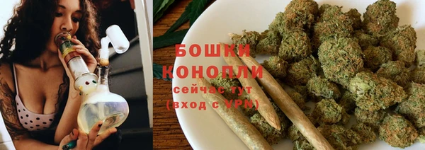 PSILOCYBIN Алзамай