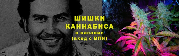 гидропоника Алексеевка