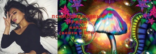 PSILOCYBIN Алзамай
